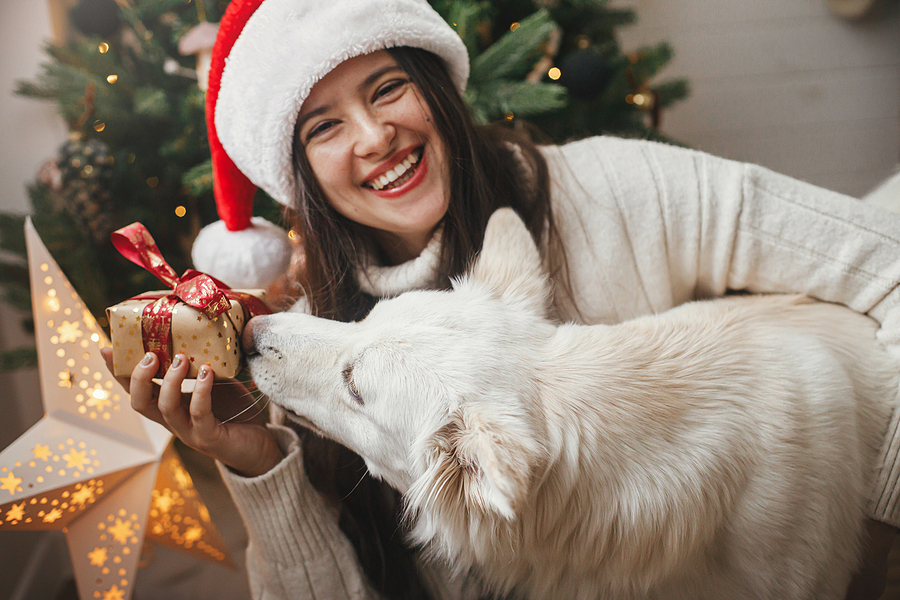 Why Visit Dentist in December?